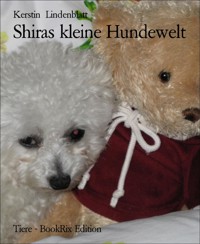 Shiras kleine Hundewelt - Kerstin Lindenblatt - E-Book
