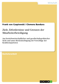 Ziele, Erfordernisse und Grenzen der Mitarbeiterbeteiligung - Frank von Czapiewski - kostenlos E-Book