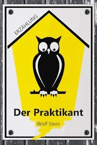 Der Praktikant - Wolf Stein - E-Book
