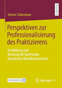 Perspektiven zur Professionalisierung des Praktizierens - Steven Schiemann - E-Book