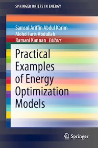 Practical Examples of Energy Optimization Models -  - E-Book