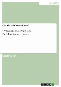 Organisationslernen und Problemlösemethoden - Claudia Schütt-Breitkopf - E-Book