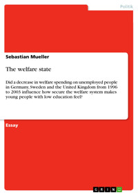 The welfare state - Sebastian Mueller - E-Book