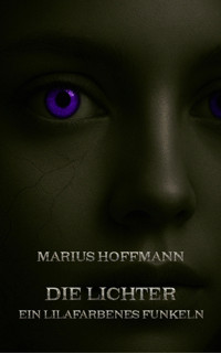 Die Lichter - Marius Hoffmann - E-Book