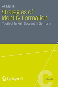 Strategies of Identity Formation - Ali Mehdi - E-Book