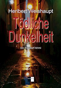 Tödliche Dunkelheit - Heribert Weishaupt - E-Book