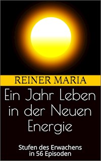 Ein Jahr Leben in der Neuen Energie - Reiner Maria - E-Book