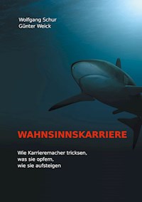 Wahnsinnskarriere - Wolfgang Schur - E-Book