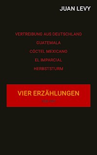 Vier Erzählungen - Juan Levy - E-Book
