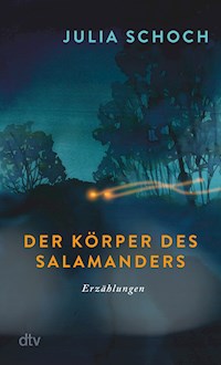Der Körper des Salamanders - Julia Schoch - E-Book