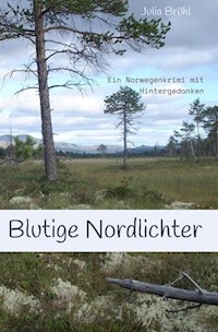 Blutige Nordlichter - Julia Susanne Yovanna Brühl - E-Book