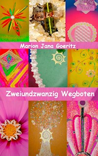 Zweiundzwanzig Wegboten - Marion Jana Goeritz - E-Book