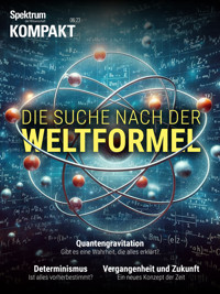 Spektrum Kompakt - Die Suche nach der Weltformel - Spektrum der Wissenschaft - E-Book