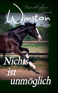 Winston - Nichts ist unmöglich - Antonia Katharina Tessnow - E-Book