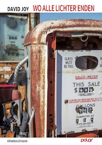 Wo alle Lichter enden - David Joy - E-Book