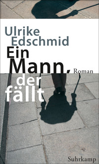 Ein Mann, der fällt - Ulrike Edschmid - E-Book