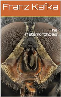 Metamorphosis - Franz  kafka - E-Book