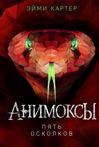 Пять Осколков - Эйми Картер - E-Book