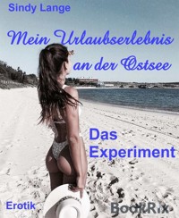 Mein Urlaubserlebnis an der Ostsee - Sindy Lange - E-Book