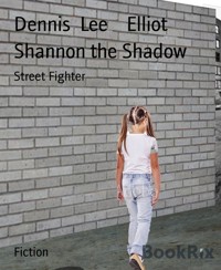 Shannon the Shadow - Dennis Lee  Elliot - E-Book