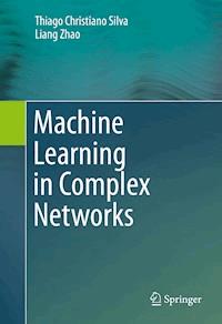 Machine Learning in Complex Networks - Thiago Christiano Silva - E-Book