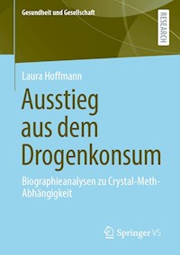 Ausstieg aus dem Drogenkonsum - Laura Hoffmann - E-Book