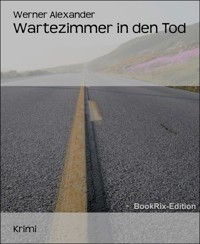 Wartezimmer in den Tod - Alexander Werner - E-Book