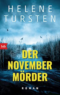Der Novembermörder - Helene Tursten - E-Book