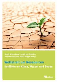 Wettstreit um Ressourcen - Britta Klagge - E-Book