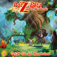 Potz Blitz - Die Zauberakademie, Folge 6: Gefahr für das Wunderland - Christoph Piasecki - Hörbuch