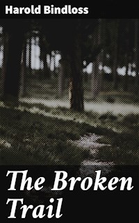 The Broken Trail - Harold Bindloss - E-Book