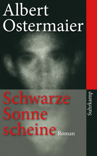 Schwarze Sonne scheine - Albert Ostermaier - E-Book