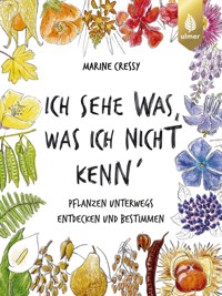 Ich sehe was, was ich nicht kenn´ - Marine Cressy - E-Book