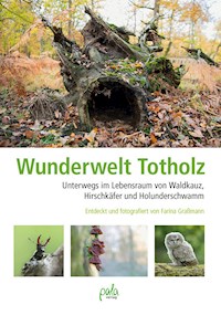 Wunderwelt Totholz - Farina Graßmann - E-Book