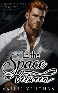 In the Space between - Vaelis Vaughan - E-Book