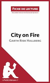 City on Fire de Garth Risk Hallberg (Fiche de lecture) - lePetitLitteraire - E-Book