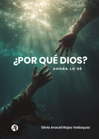 ¿Por qué Dios? - Silvia Araceli Rojas Velázquez - E-Book