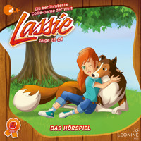 Folgen 22-26: Der verletzte Kondor - Ludwig Schultz - Hörbuch