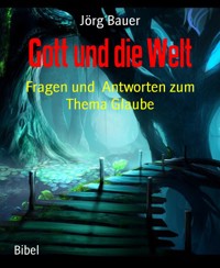 Gott und die Welt - Jörg Bauer - kostenlos E-Book