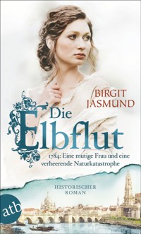Die Elbflut - Birgit Jasmund - E-Book