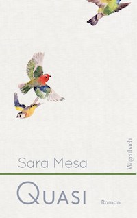 Quasi - Sara Mesa - E-Book