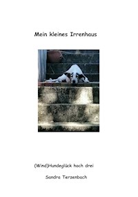 Mein kleines Irrenhaus - Sandra Terzenbach - E-Book