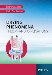 Drying Phenomena - Ibrahim Dincer - E-Book