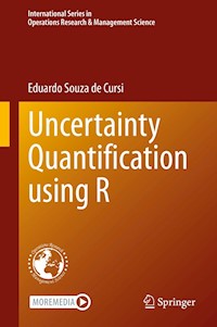Uncertainty Quantification using R - Eduardo Souza de Cursi - E-Book