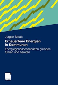 Erneuerbare Energien in Kommunen - Jürgen Staab - E-Book