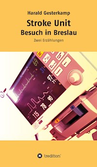 Stroke Unit/Besuch in Breslau - Harald Gesterkamp - E-Book