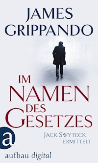 Im Namen des Gesetzes - James Grippando - E-Book