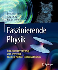 Faszinierende Physik - Benjamin Bahr - E-Book