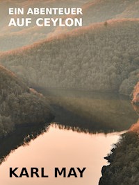 Ein Abenteuer auf Ceylon - Karl May - E-Book