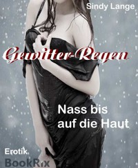 Gewitter - Regen - Sindy Lange - E-Book